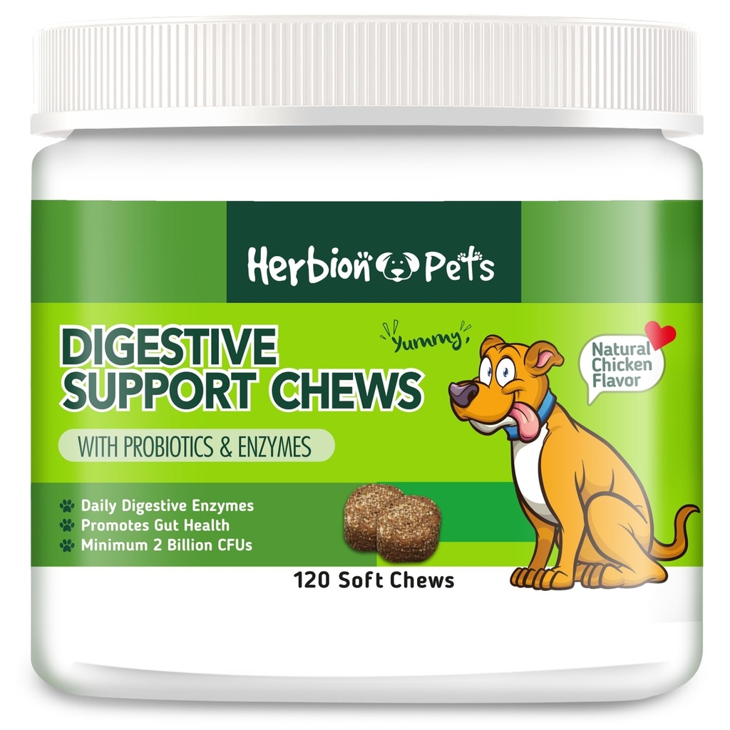 Herbion Animaux de compagnie Soutien digestif Chews avec des probiotiques et des enzymes, 120 Chews doux, avec des enzymes digestives quotidiennes, pour une meilleure santé Gut, minimum 2 Million UFC, Fabriqué aux États-Unis pour chiens 12 semaines+, Pack 1