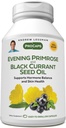 ANDREW LESSMAN Abend Primrose und schwarze Johannisbeere Seed Oil 360 Softgels - Beruhigt körperliche Störungen und Mood Swings aufgrund Menstrual Cycle, mit Gamma-Linolenic, Omega-6 Fettsäuren, keine Additive