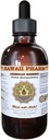 Hawaii Pharm American Ginseng Liquid Extract, Ginseng (Panax Quinquefolius) Getrocknete Wurzel-Tinktur Ergänzung 4 oz