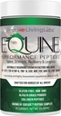 Equine Performance Peptide Horse Peptide, Organic Horse Supplement, Hoof Joint & Muskelunterstützung, Gewichtszunahme für Pferde, 60 Servierungen