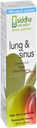 Siddha Heilmittel Lung & Sinus Spray für Sinus Relief, Congestion Relief, Cough Suppressant, Kalte Medizin, Runny Nose | Homeopathic Allergy Medicine Relief | Non GMO w/Cell Salts, No Alkohol, Zucker