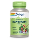 SOLARAY Hawthorn Berry Capsules 1050 mg - beruhigende Kräuterunterstützung - Hawthorne Berry Supplement für allgemeine Wellness-Unterstützung - Ganze Berry, Vegan, Non-GMO, 60 Tage Garantie, 90 Servierungen, 180 VegCaps
