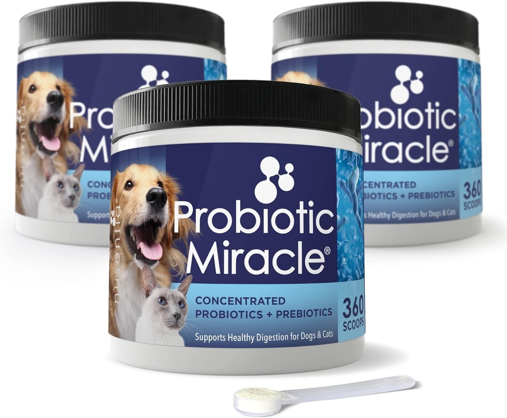 NUSENTIA Probiotisches Wunder für Hunde und Katzen (3 Bundle) Sparen Sie $13. Beseitigen Sie Durchfall, Verstopfung, Loose Hocker, Hefe und mehr. Made in USA. GMP zertifiziert