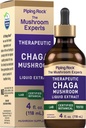 Piping Rock Chaga Mushroom Liquid Extract | 4 Fl Oz | Alkoholfrei, Vegetarische Tinktur | Non-GMO, Glutenfreie Ergänzung