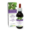 Naturalma Lemon Balm (Melissa officinalis) Blatt Alcohol-Free Tincture - 4 fl oz Flüssiger Extrakt in Tropfen - Kräuterergänzung - Vegan