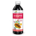 Papaya Blatt Blut Unterstützung Flüssigkeit - 15X Stärke - Papaya Blatt Extrakt - Gesunde Plättchen, Blutreinigung, Verdauung, Papaya Enzyme - 12oz Flüssigkeit - Kräuter-Güte (1 btl)