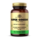 Solgar Super Ginkgo, 120 capsules végétales - pleine puissance (FP) - Antioxydant et système nerveux - Santé du cerveau - Non-OGM, végétalien, sans gluten, sans produits laitiers, sans casher - 120 portions