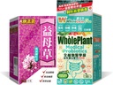 NOTO Vital-Qi Yimucao Motherwort Herb Getränke-Ergänzung + WholeLovePlus Probiotika für Damen und Herren - Daily Probiotic Supplement Set