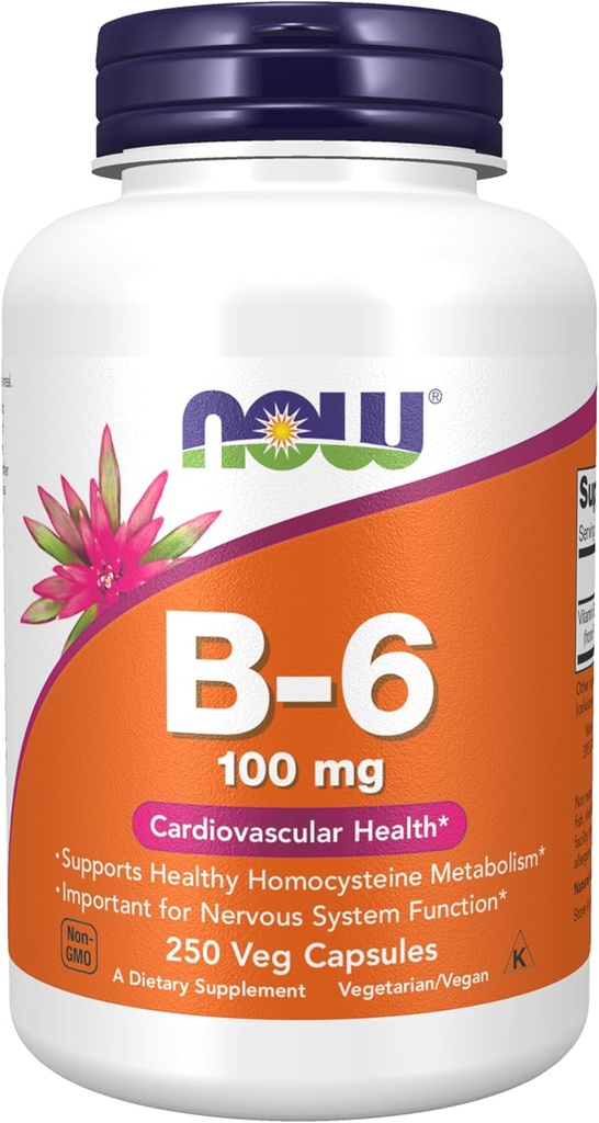 JETZT Nahrungsergänzungsmittel, Vitamin B-6 (Pyridoxin HCl) 100 mg, Herz-Kreislauf-Gesundheit, 250 Veg Kapseln