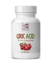 Alerna Kidney Health - URIC Acid Natural ANTIOXIDANT - Uric Acid Cleanse Support Tart Cherry Capsules - 1 Flasche 60 Gemüsekapseln