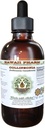Collinsonia Alcohol-Free Liquid Extract, Collinsonia (Collinsonia Canadensis) Getrocknete Wurzel Glycerit Hawaii Pharm natürliche Kräuterergänzung 4 oz