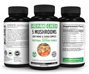 Vert Sibérien 5 Champignons Lions Mane Chaga Shiitake Maitake Reishi - 60 Capsules