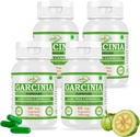 Gélules d'extrait de Garcinia (Garcinia) à base de plantes naturelles et pures.