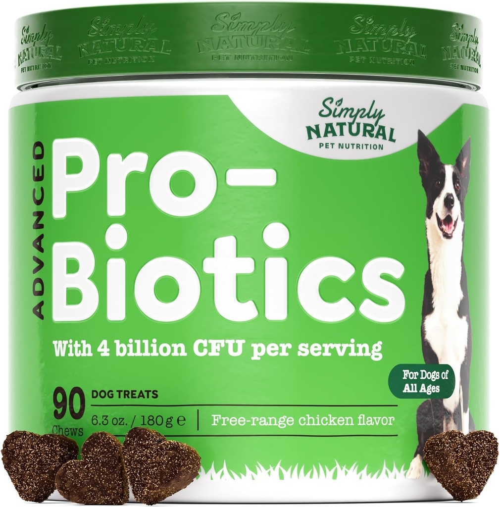 Probiotiques pour chiens avec 4 milliards d'UCF, 90 croustilles pour chiens probiotiques pour toutes les races - aide à prévenir la diarrhée, améliorer la santé des Guts et le système digestif