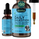 Animal Essentials Daily Digestion for Dogs & Cats - Verdauungshilfe, Frischer Atem, Ingwer Root, Fennel Seed Extract, Liquid Supplement - 2 Fl Oz