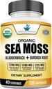 American Standard Supplements Bio Sea Moss, Bladderwrack & Burdock Root Capsules - 1200mg Seamoss, 1200mg Bladderwrack, 225mg Burdock Root Per Serving - 120 Kapseln, 40 Servietten