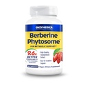 Enzymedica, Berberine Phytosome, 9.6X Bessere Bioverfügbarkeit, Hohe Potenz natürlich Vegan Nahrungsergänzung für Stoffwechselunterstützung, 60 Kapseln