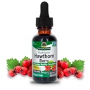 Natur Antwort Hawthorn Beeren | Fördert gesunde Zirkulation Funktion | Hilft, gesunde Cholesterol Levels zu erhalten | Glutenfrei, Alkoholfrei, Kosher zertifiziert und keine Konservierungsstoffe 1oz
