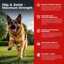 Dog Hip and Joint Supplement - Hund Schmerzen Relief Anti Entzündung mit Glucosamin, Chondroitin, MSM, Turmeric, Vitamin E, Omega 3 - Treats Hip Dysplasia, Arthritis - All Large Small Medium Breed