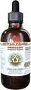 Oregano Alcohol-Free Liquid Extract, Organic Oregano (Origanum vulgare) Getrocknete Blatt Glycerite natürliche Kräuterergänzung, Hawaii Pharm, USA 2 fl.oz