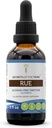 Secrets of the Tribe Rue Alcohol-Free Liquid Extract, Rue (Ruta graveolens) Getrocknete Kräuterzusatz (2 FL OZ)