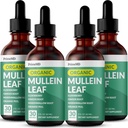 5-in-1 Mullein Tropfen für Lunge und Bronchial - Respiratorische Lung Health Support mit Mullen Blatt Extrakt für Lunge - Mullein Tinktur mit Elderberry, Echinacea und Ginger Root (120 Servietten) (4-pack)