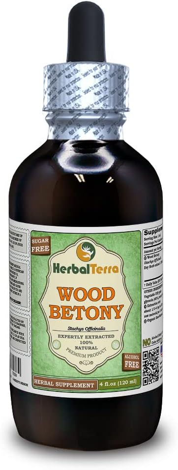 Wood Betony (Stachys Officinalis) Glycerite, Organic Dried Herb Alcohol-FREE Liquid Extract (Markenname: HerbalTerra, Proudly made in USA) 4 fl.oz (120 ml)
