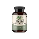 TERRA ORIGIN Healthy Mind and Memory Support Supplement | Kognitive Memory Matrix | Nootropic CDP, Bacopa, L-Tyrosine, Huperzine A, Ginko, B12 | Non GMO, Gluten Free, Dairy Free | 30 Kapseln