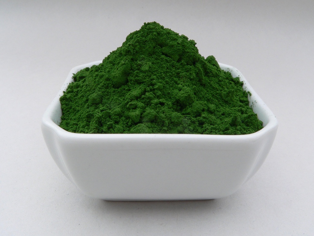 Marine Phytoplankton Pulver Roh Omega 3 EPA Vegan ATP Energy Superfood 100 Gramm (3.52 oz)