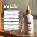 Rainbo - Reishi Mushroom Tincture - Alkoholfrei - Dual Extract Mushroom Supplement - Immununterstützung, Mood, Sleep, Liquid Reishi Supplement, Vegan, Non GMO, 3,4 fl oz