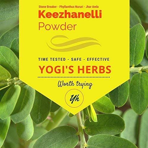 YOGIS HERBS Keezhanelli Powder (Phyllanthus Niruri) | Chanca Piedra Stone Breaker – Liver, Kidney & Gallbladder Unterstützung– Frische und reine Kräuterergänzung (8 oz)