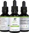Reishi Pilzextrakt - Flüssige Tinte - Ergänzung für Immunität Verteidigung & Gehirn Unterstützung, Unterstützung gesunde Leberfunktion, Energie-Booster, & Schlaf besser, 1oz von Ziggy Health