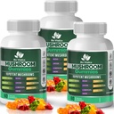 Pilz-Gummien – 10 Pilz-Komplex mit Lion’s Mane, Reishi, Chaga, Cordyceps & More – Fruchtige Vegan-Gummien – Non-GMO, Gluten-Free, Plant-Based – 3 Packungen