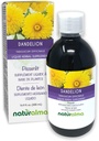Naturalma Dandelion (Taraxacum officinale) Wurzel und Kräuter Alkoholfreie Tinktur - 16.9 fl oz Flüssiger Extrakt in Tropfen - Kräuterergänzung - Vegan