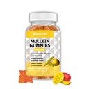 Gummies de Mullein, 2000mg Extrait de feuille de Mullein biologique avec Quercetin, Bromelain et Vitamine D3, Extrait de feuille de Mullein pour le nettoyage respiratoire, naturel du poumon, améliorer l'apéritif, végétalien, non-OGM, 1 emballage