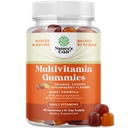 Gommies de multivitamines quotidiennes pour adultes - Mélange bien-être de vitamine D A C E B12 Zinc et biotine - Gommy de vitamine adulte pour l'énergie et l'immunité - Gommy sans gluten et sans halal 30 Compte