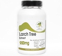 Larch Tree Extract 900mg Arabinogalactan (AG) ~ 90 Kapseln - Keine Zusatzstoffe