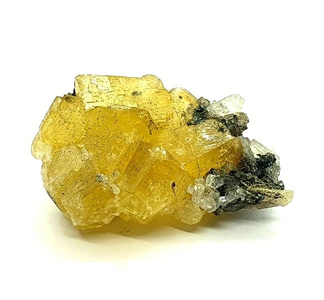 Fluorite el hamman Maroc Maroc Minéraux Minéraux FLUO07