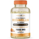 Boswellia Serrata Extract Joint Support Supplement by Powered by Plants – 65% Acides boswelliques à haute puissance avec BioPerine – Supporte Immunité, Mobilité et Flexibilité – 120 Capsules Vegan