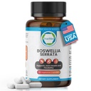 Boswellia Serrata 600mg 65 Boswellic Acid Extract unterstützt gemeinsamen Komfort, Flexibilität und Mobilität Natürliche Kräuter Wellness Supplement Vegan, Non-GMO, Glutenfreie 90 Veg Kapseln.