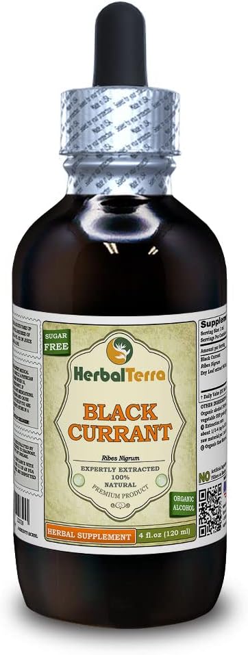 Schwarze Johannisbeere (Ribes nigrum) Tinktur, getrocknete Blätter Flüssiger Extrakt (Markenname: HerbalTerra, Proudly Made in USA) 4 fl.oz (120 ml)