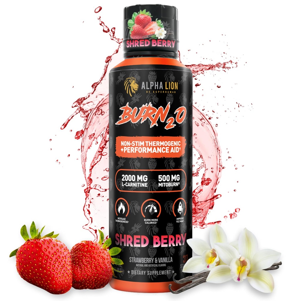 ALPHA LION Burn2O L-Carnitine Liquid 2000mg, Premium Liquid Fat Burner & Pre-Workout Ergänzung für Männer & Frauen - Natürliche Energie & Stoffwechsel Booster für Gewichtsverlust - ShredBerry