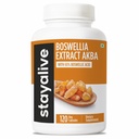 STAY ALIVE Boswellia Serrata Extrakt Kapseln 1000mg mit AKBA und 65% Boswellic Acid, 12:1 Harzextrakt Pulver, 120 Zähler für 2-Monats-Versorgung, Non-GMO und Gluten-freie Boswellia-Ergänzung