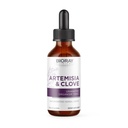 BIORAY Professional Artemisia & Clove - 2 fl oz - Enlèvement d'organisme non désiré avec des champignons médicinaux - Non-OGM, Végétarien, Sans gluten