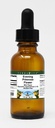 Evening Primrose Flower Glycerite Liquid Extract (1:5) - Mint Flavored (1 oz, ZIN: 522451)