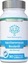 Saccharomyces Boulardii 5 milliards CFU 90 Capsules - Pas de réfrigération requise - Levure à haute résistance non-colonisante avec feuille d'olive synergique, biotine et vitamine D3