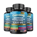 Best Magnesium Glycinate with Ashwagandha and L-Theanine 14 in 1 Supplement 60 Capsules 3 Bottle