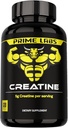 Prime Labs Creatine Monohydratkapseln - 5g (5000mg) - Muskelwachstum, Erholung, Gehirnfunktion - für Männer & Frauen - 120 Count