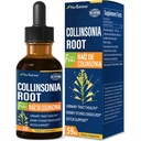 Collinsonia (Stone Root) Tropfen für Urinary Tract Gesundheit, Natürliche Kräuter Formel Ergänzung w/Stone Breaker Chanca Piedra Extrakt Unterstützung Nierensteine Lösungs- & Detox Cleanse. 2oz