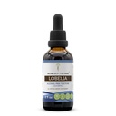 Secrets of the Tribe Lobelia Liquid Extract for Respiratory & Nervous System Support | Herbal Supplement | Alcohol-Free | Lobelia inflata Dried Herb | Drops 2 fl oz